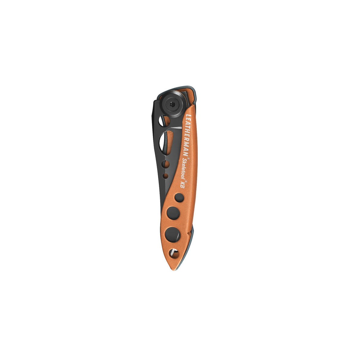 SKELETOOL KB Aurora