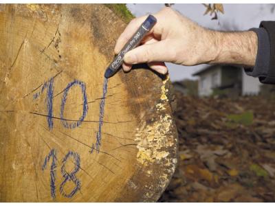 Pica Classic 590 PRO Lumber & Industrial Marking Crayon Blue