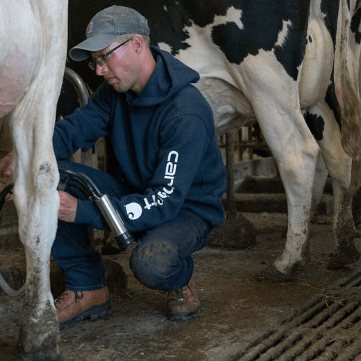 Midweight Signature Sleeve Logo Hoodie New Navy