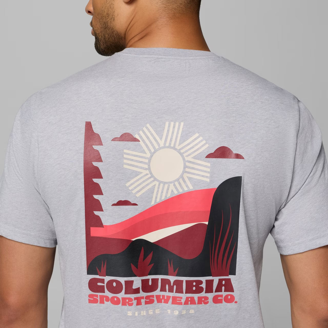 ORGANIC COTTON GRAPHIC T-SHIRT Columbia Grey Heather, Shining Sandscape