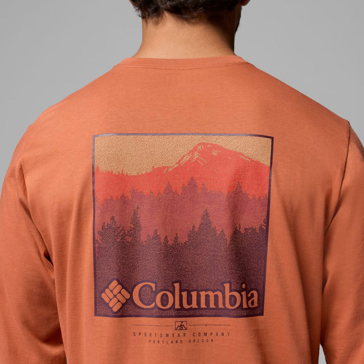 CSC™ GRAPHIC LONG SLEEVE T-SHIRT Teak Brown Textured Scene