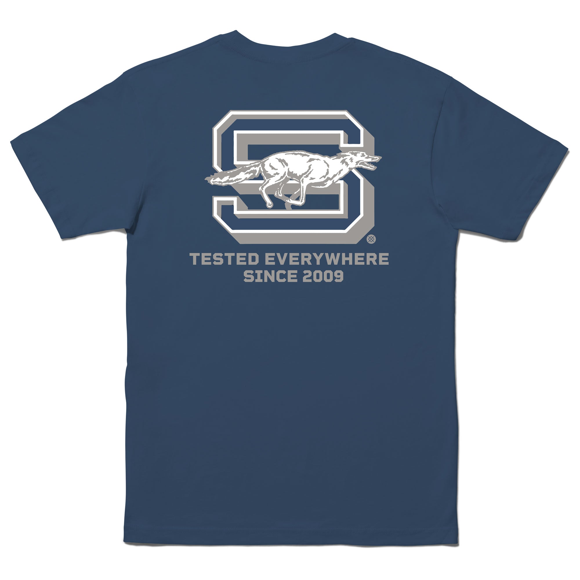 STANCE COYOTE T-SHIRT Seablue